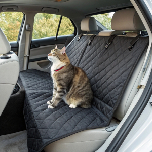 Автотовари для котів