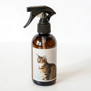 Fernhaltemittel für Katzen