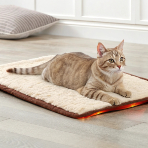 Heizungsliegen für Katzen