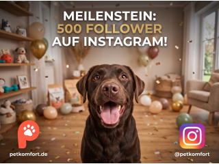 Віха: Petkomfort досягає 500 підписників в Instagram!