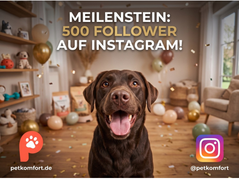 Wir sagen Danke: 500 Instagram-Follower und unsere wachsende Community