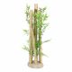 Aqua Della Aquariendekoration - Bambusornament - L - 10,5x8,5x26 cm
