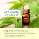 Repellent - cdVet MilbenEx Ohrreiniger 20 ml