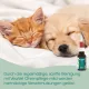 Засоби для догляду за вухами - cdVet VeaVet Ohrenpflege mild 20 ml