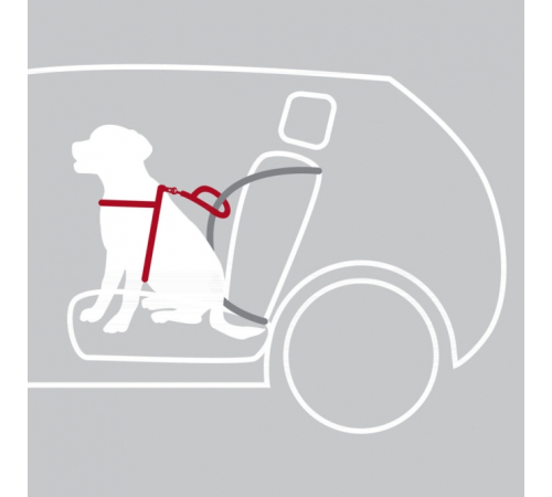 Trixie Auto-Sicherheitsgeschirr Dog Protect - S-M: 40-55 cm