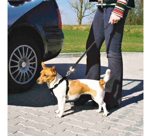 Trixie Auto-Sicherheitsgeschirr - M