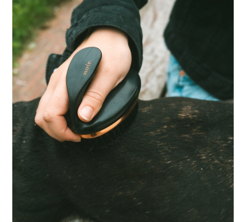 EBI Noir ergonomische weiche Bürste