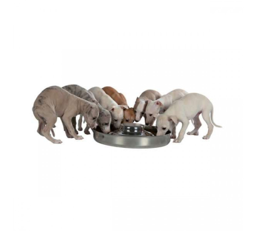 Trixie Edelstahl-Welpennapf - 4,0 l / 38 cm