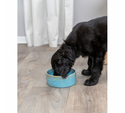 Trixie Keramiknapf mit Musterung - blau - 0,4 l/ø 13 cm
