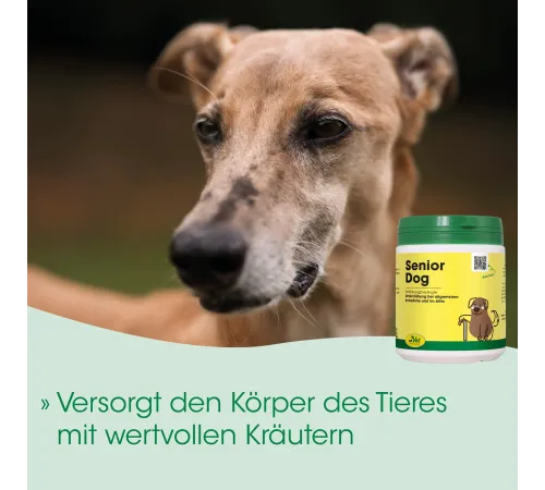 Ergänzungsfuttermittel für Hunde - cdVet SeniorDog 250 g