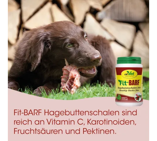 Einzelfuttermittel für Hunde - cdVet Fit-BARF Hagebuttenschalen fein 500 g