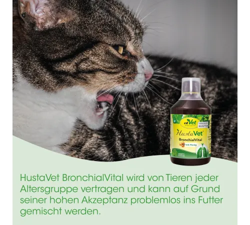 Кормова добавка для собак та котів - cdVet HustaVet BronchialVital 100 ml
