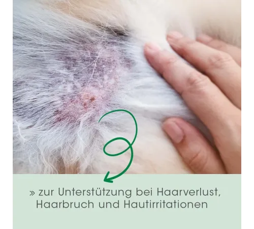 Ergänzungsfuttermittel - cdVet Fell & Haut Vital Hund & Katze 150 g