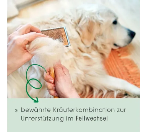 Ergänzungsfuttermittel - cdVet Fell & Haut Vital Hund & Katze 150 g