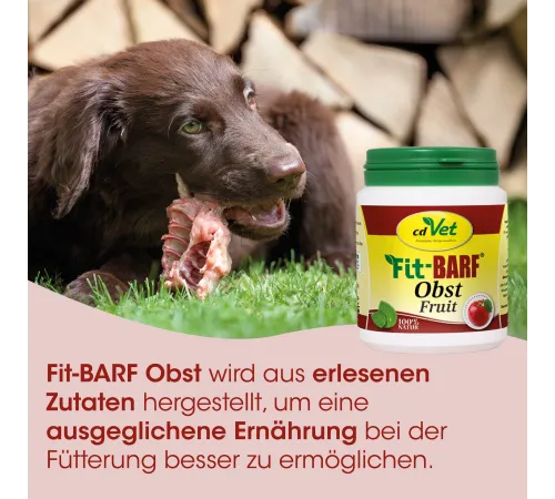 Кормовая добавка для собак и кошек - cdVet Fit-BARF Obst 350 g