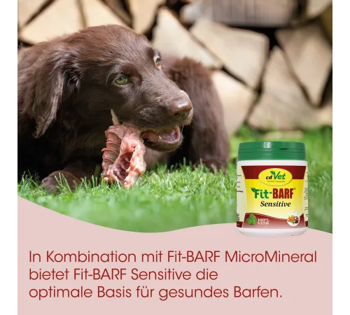 Ergänzungsfuttermittel für Hunde & Katzen - cdVet Fit-BARF Sensitive 350 g