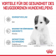 Royal Canin Babydog Milk 400 g