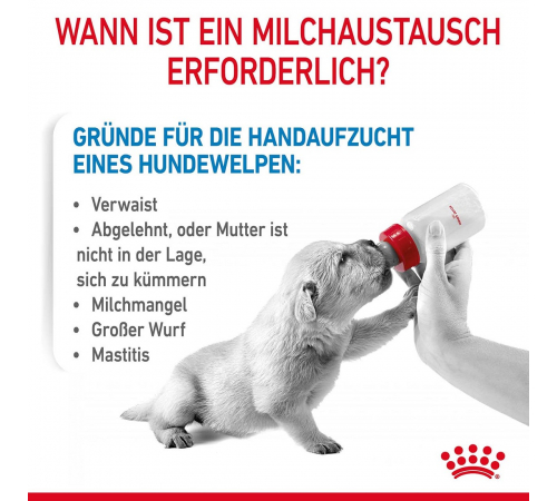 Royal Canin Babydog Milk 400 g