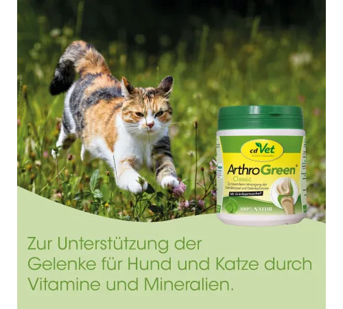 Кормовая добавка для собак и кошек - cdVet ArthroGreen Classic 345 g