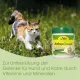 Кормовая добавка для собак и кошек - cdVet ArthroGreen Classic 345 g