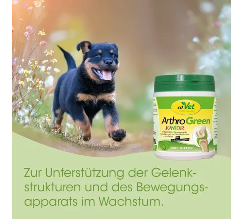 Кормовая добавка для собак и кошек - cdVet ArthroGreen Junior 80 g