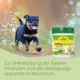 Кормовая добавка для собак и кошек - cdVet ArthroGreen Junior 80 g