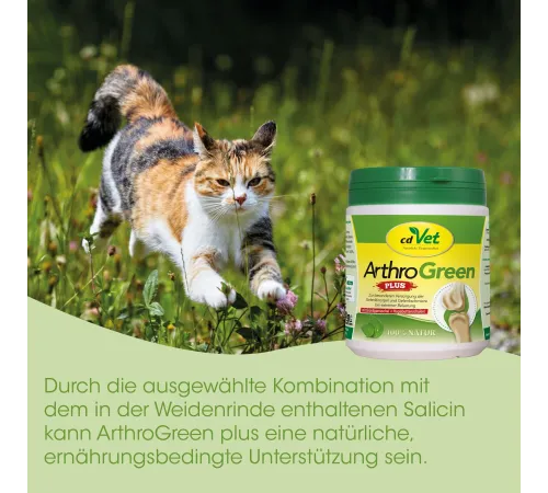 Кормовая добавка для собак и кошек - cdVet ArthroGreen plus 150 g