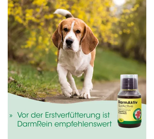 Кормовая добавка - cdVet DarmAktiv Hund & Katze 250 ml