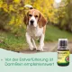 Кормовая добавка - cdVet DarmAktiv Hund & Katze 250 ml