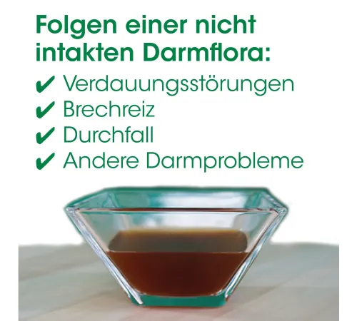 Ergänzungsfuttermittel - cdVet DarmRein Hund 250 ml