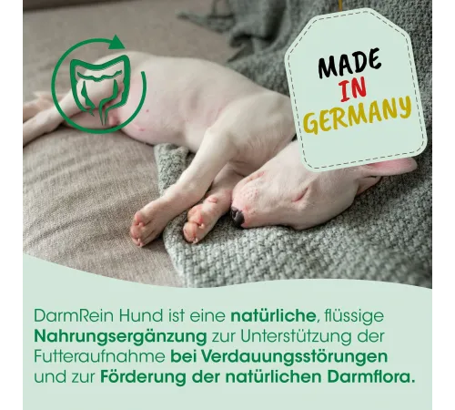 Ergänzungsfuttermittel - cdVet DarmRein Hund 250 ml