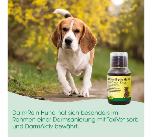 Ergänzungsfuttermittel - cdVet DarmRein Hund 250 ml