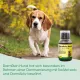 Ergänzungsfuttermittel - cdVet DarmRein Hund 250 ml