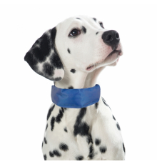PROCYON Kühl-Bandana für Hunde - L
