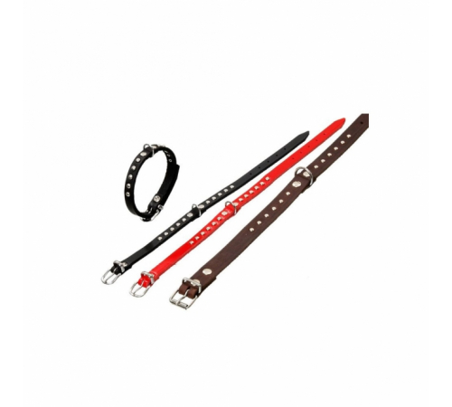 Karlie RONDO Halsband mit Ziernieten - Braun - 32cm / 10mm