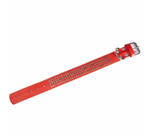 Karlie Vintage Halsband mit 4eck-Nieten 50mm - Rot - 50cm / 50mm