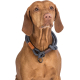Trixie BE NORDIC Zug-Stopp-Halsband - dunkelgrau - 35 cm