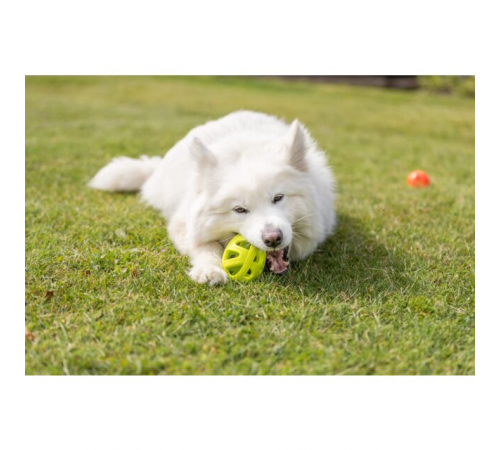 Trixie Wabenrugby aus TPE - 11cm