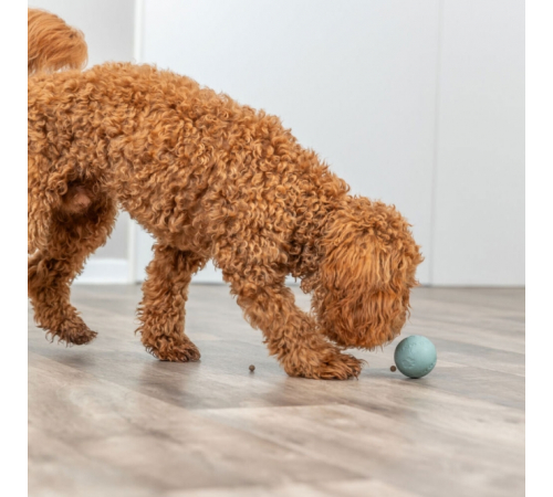 Trixie Labyrinth-Snacky Naturgummi-Snackball - 6 cm
