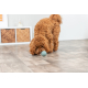 Trixie Labyrinth-Snacky Naturgummi-Snackball - 6 cm