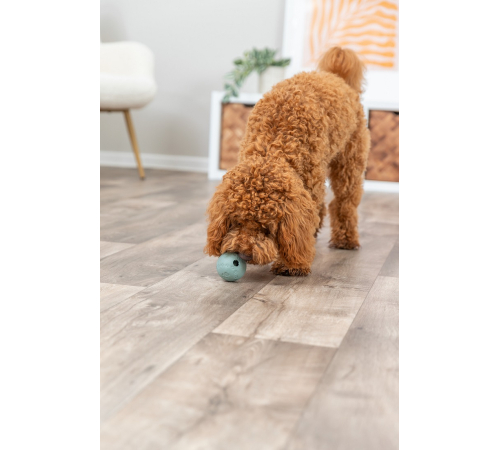 Trixie Labyrinth-Snacky Naturgummi-Snackball - 6 cm