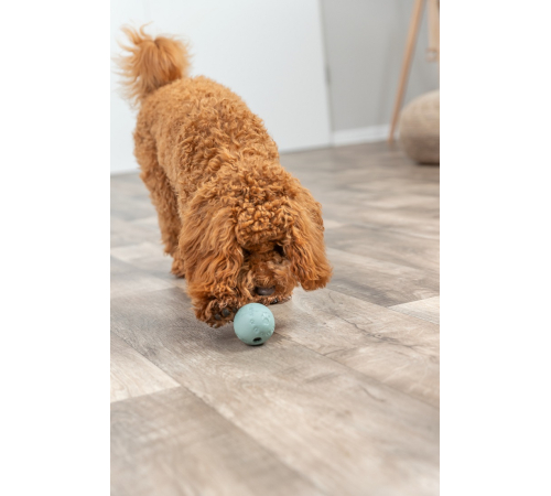 Trixie Labyrinth-Snacky Naturgummi-Snackball - 6 cm
