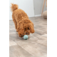 Trixie Labyrinth-Snacky Naturgummi-Snackball - 6 cm