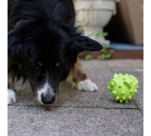 PROCYON TPR Snackball Fisch