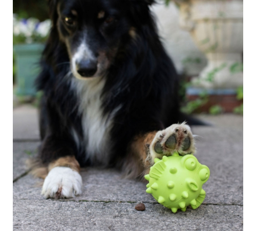 PROCYON TPR Snackball Fisch