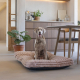 Designed by Lotte Hundekissen Reza - Rosa - 120 x 80 cm