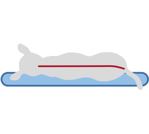 Trixie Matratze Samoa Vital - dunkelgrau - 120 × 80 cm