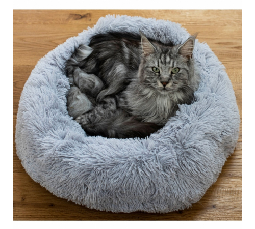 PROCYON Donut Bett - 60 cm - dunkelgrau