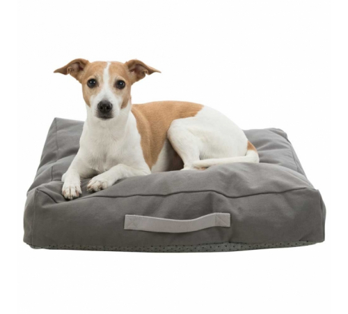 Trixie Be Eco Kissen Danilo - 80 x 60 cm