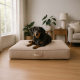 Duvoplus Ortho-Matratze Duratex - beige - 80x60x14cm